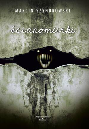 "Ścianomurki" - Marcin Szyndrowski